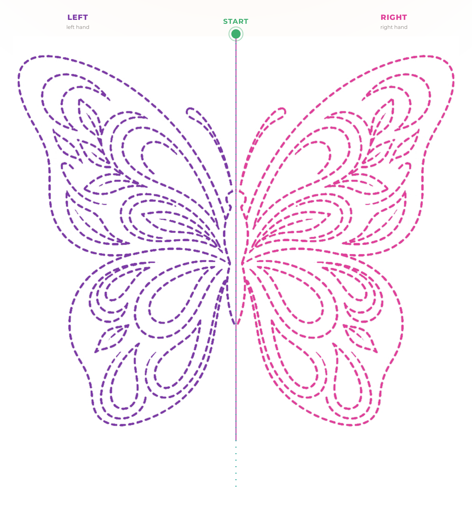 The butterfly figure: the left half dashed in purple, the right half dashed in pink, with the start marked in green.