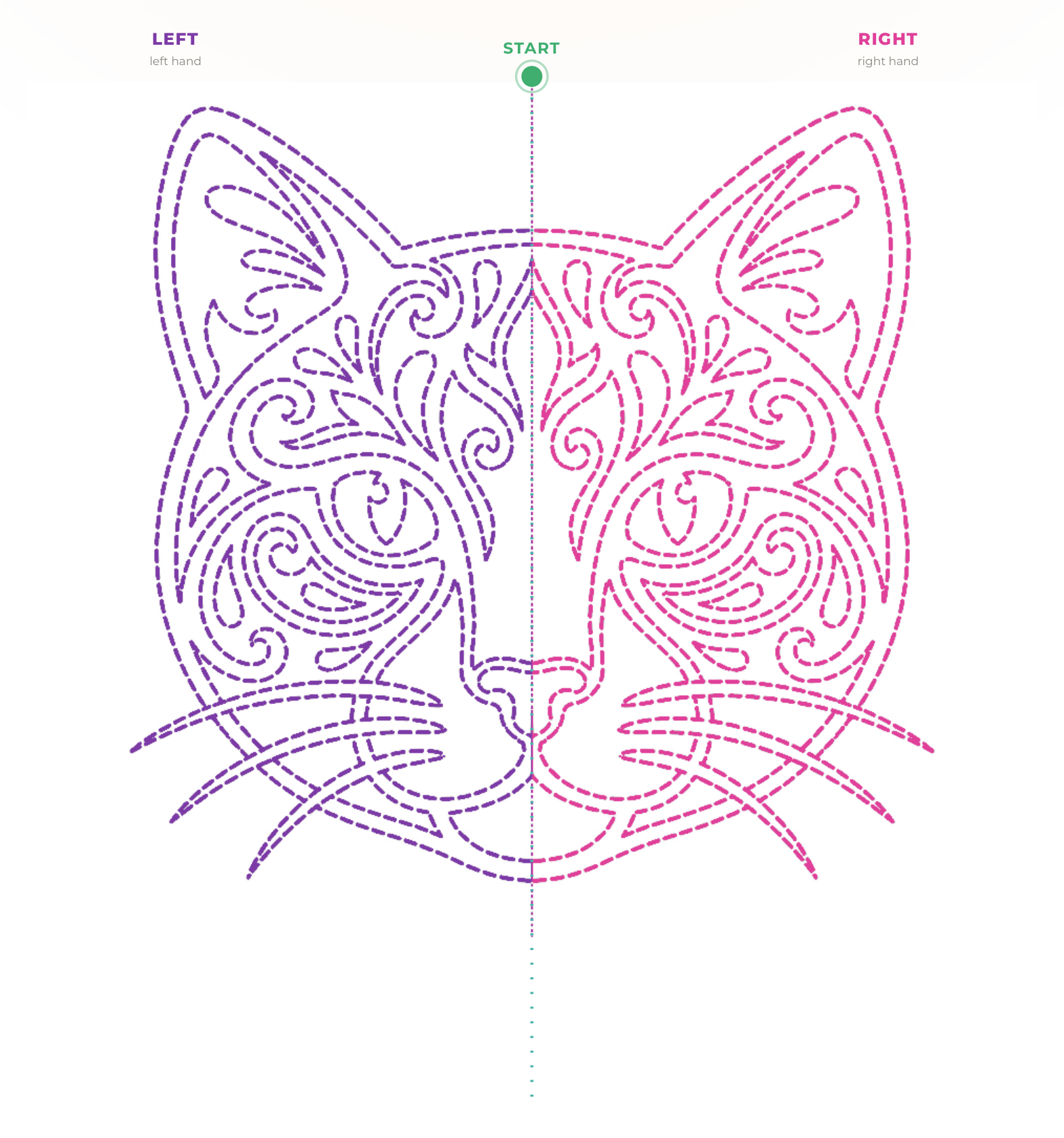 The cat figure: the left half dashed in purple, the right half dashed in pink, with the start marked in green.