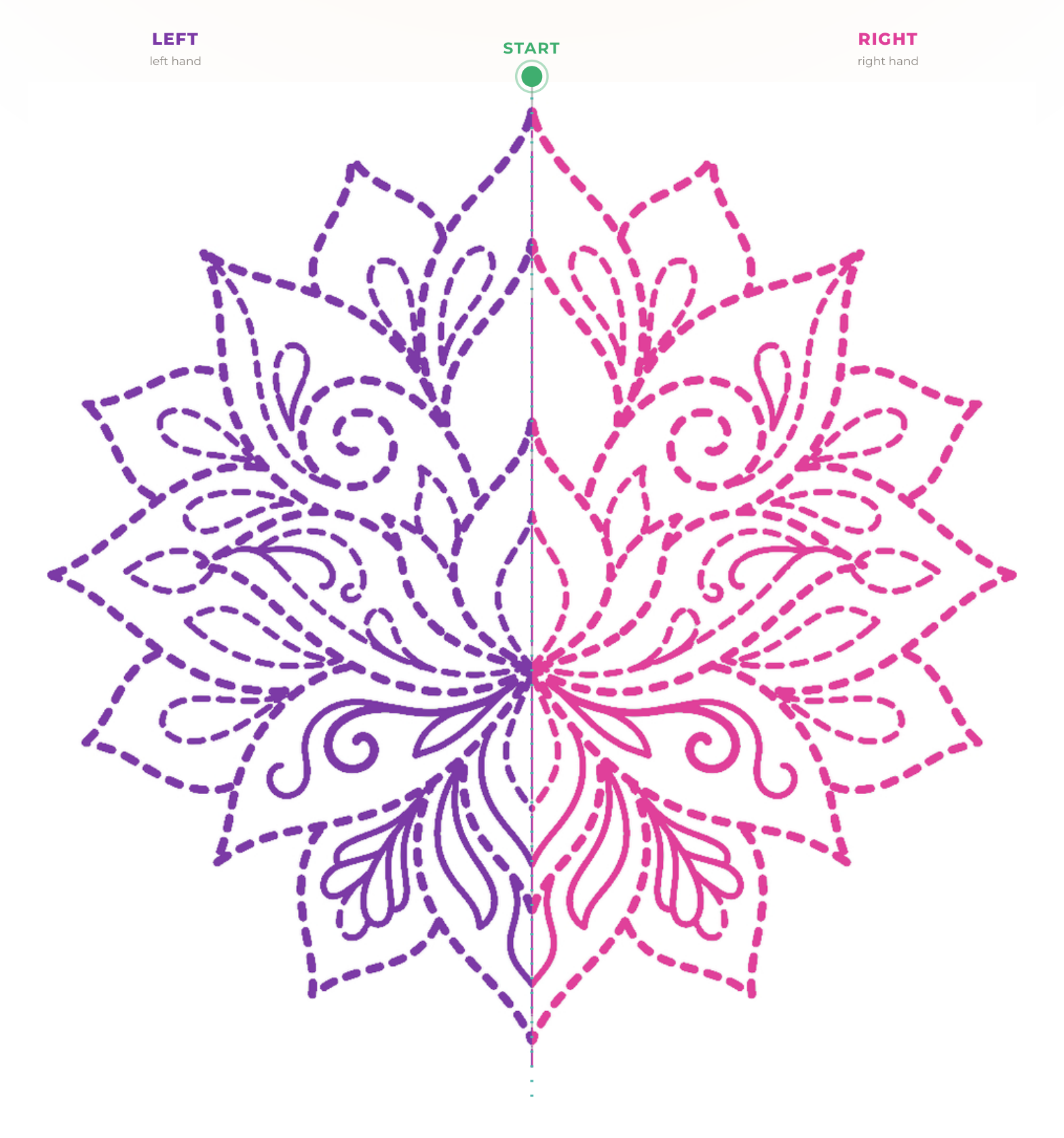 The flower figure: the left half dashed in purple, the right half dashed in pink, with the start marked in green.