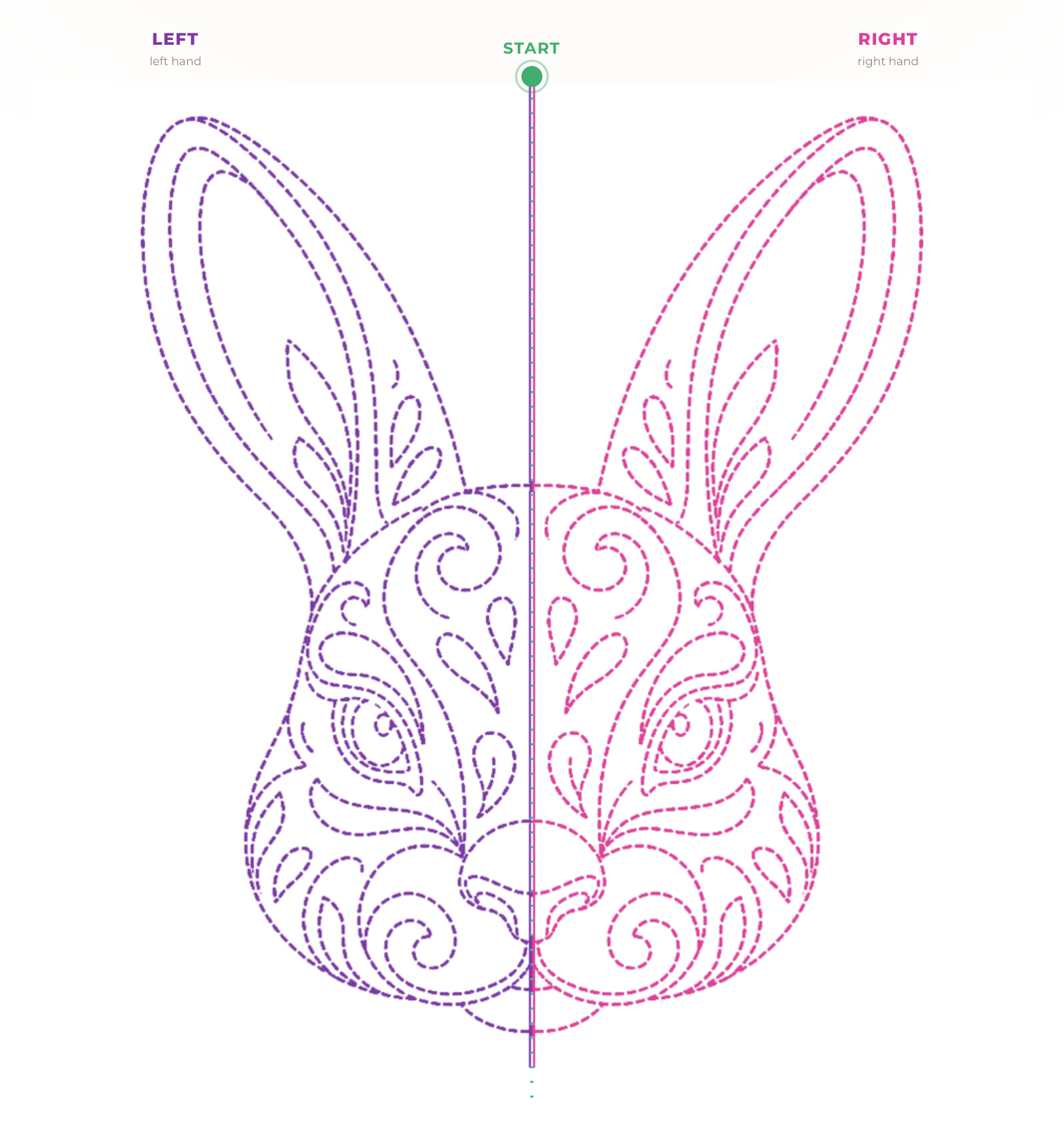 The hare figure: the left half dashed in purple, the right half dashed in pink, with the start marked in green.