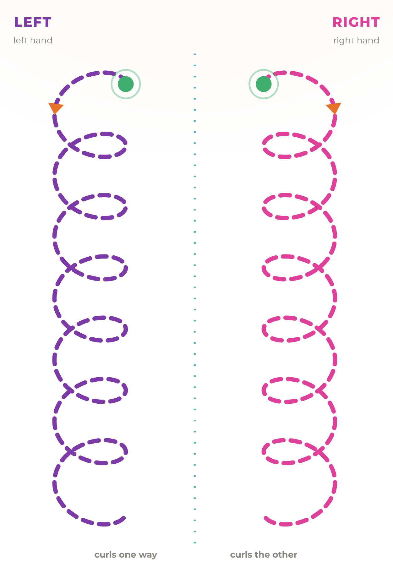 The loop garland figure: the left half dashed in purple, the right half dashed in pink, with the start marked in green.