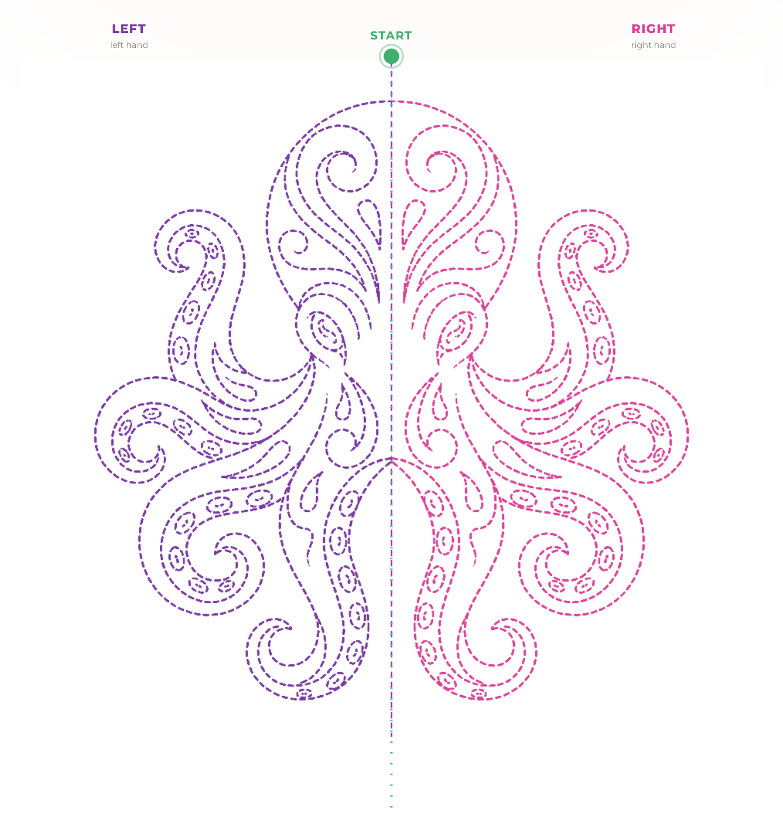 The octopus figure: the left half dashed in purple, the right half dashed in pink, with the start marked in green.