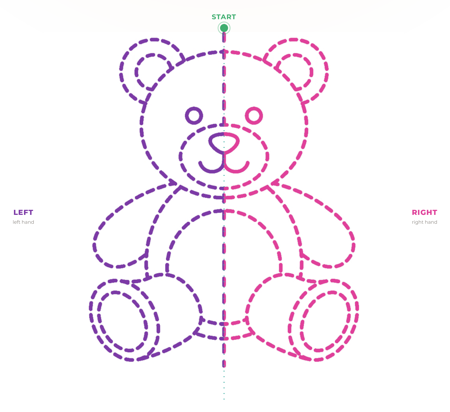 The teddy bear figure: the left half dashed in purple, the right half dashed in pink, with the start marked in green.
