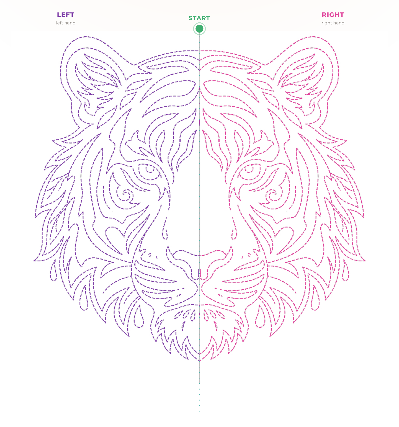 The tiger figure: the left half dashed in purple, the right half dashed in pink, with the start marked in green.