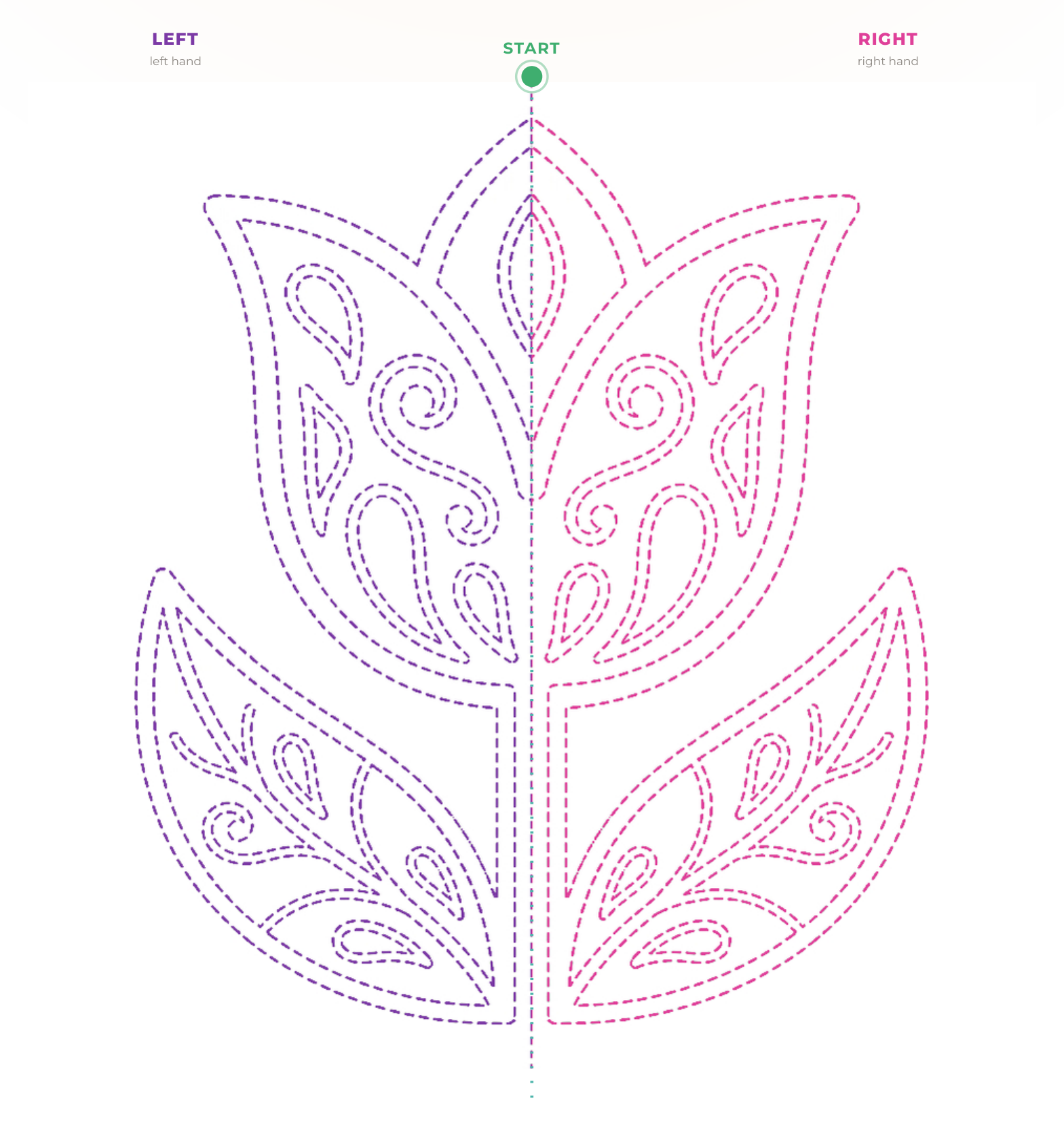 The tulip figure: the left half dashed in purple, the right half dashed in pink, with the start marked in green.